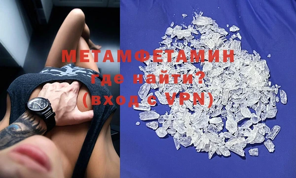 прущие грибы Каменка