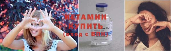 прущие грибы Каменка