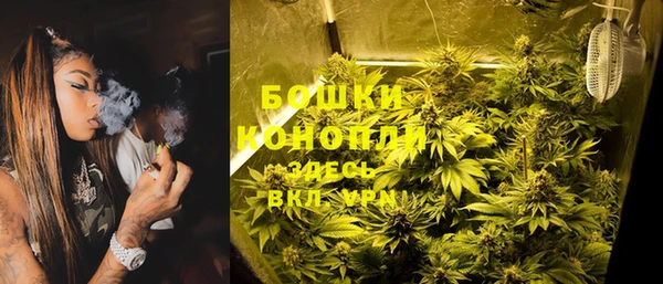 прущие грибы Каменка