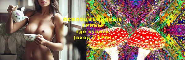 прущие грибы Каменка