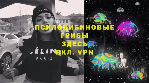 дмт Каменск-Шахтинский