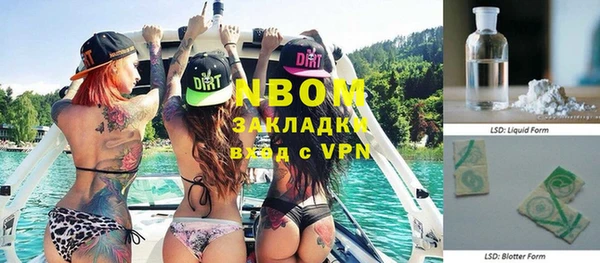 прущие грибы Каменка