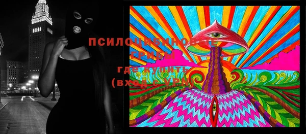дмт Каменск-Шахтинский