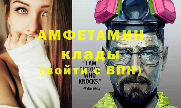 прущие грибы Каменка