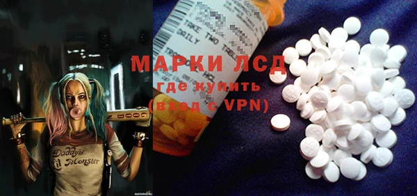 прущие грибы Каменка