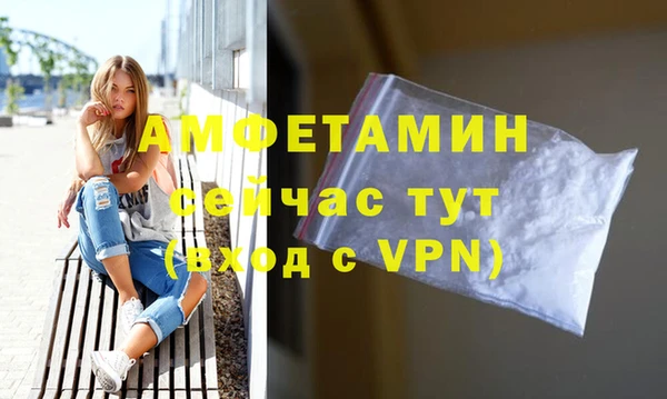 прущие грибы Каменка