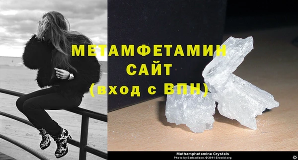 прущие грибы Каменка