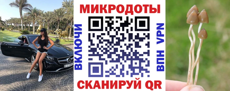 Купить  Западная Двина  Галлюциногенные грибы прущие грибы 