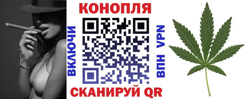 Купить закладки  Западная Двина  Бошки Шишки VHQ 